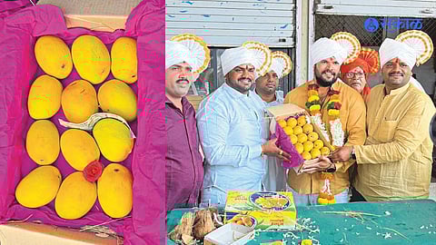 kolhapur-sangli-market-hapus-amba