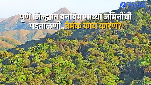 SIT officials and forest department staff conduct field inspection of forest land records in Pune district.