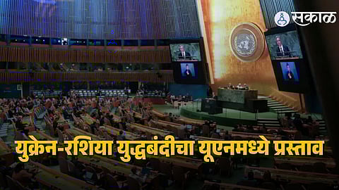 Russia Ukraine Ceasefire Vote