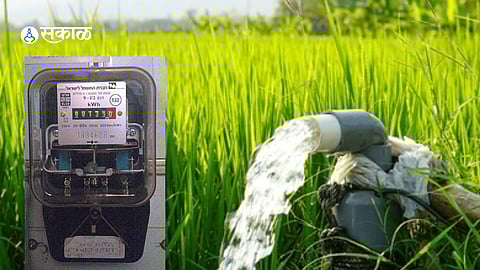 Farmers discussing electricity bills