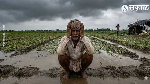 Maharashtra Weather Update : अवकाळी मुळे शेतकरी पुन्हा संकटात ! राज्यातील 'या' जिल्ह्यांत आजही पावसाचा इशारा