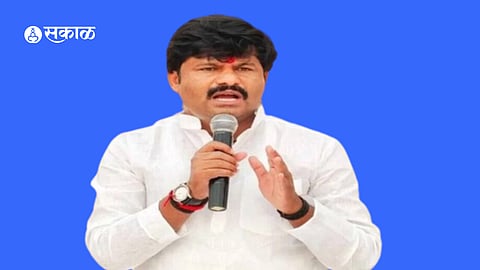 BJP State Vice President