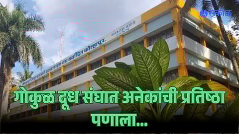 Gokul Dudh Sangh Election