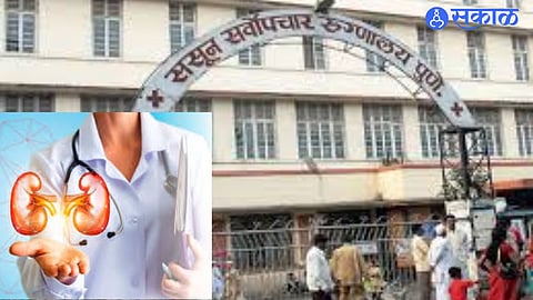 Emotional Scenes as Father’s Kidney Saves Son in Pune