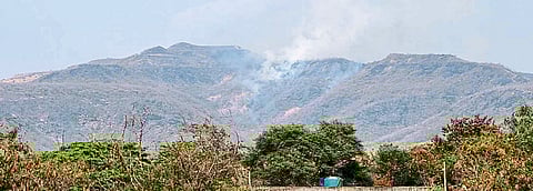 वणव्यांमुळे भोर तालुक्यातील
वन्यजीवसृष्टी धोक्यात