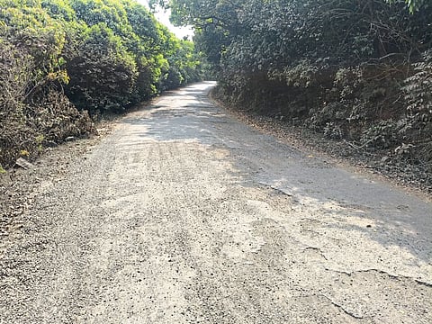 कास - रस्त्याची दुरवस्था तरीही ठेकेदार सुस्त.... निविदा घेवूनही काम करेना....