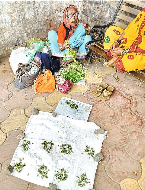 कास - ऐंशीच्या घरातही दगडी काकींची धडपड.....