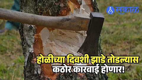 Ban on tree cutting Pune