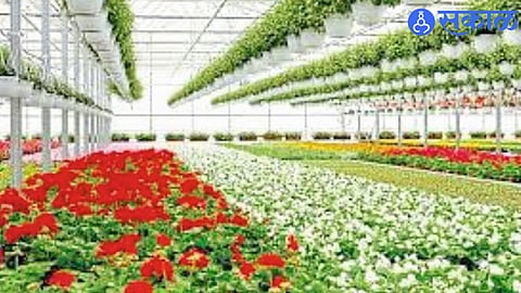 Pending Subsidies and High Electricity Bills Threaten Flower Market Project