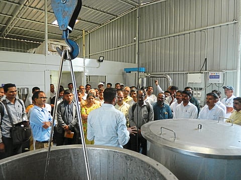 काशीळ जिल्ह्यात आले, हळद प्रक्रिया उद्योगाला गती द्या