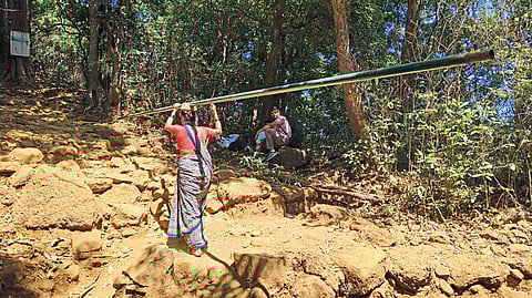 कास - वासोटा किल्ल्यावर आता सुरक्षा रेलिंग....