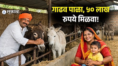 Start a Donkey Farm and Get ₹50 Lakh Subsidy: Eligibility and Application Process