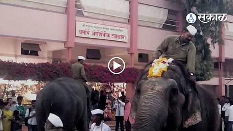 Old 2007 Video of Gajanan Maharaj’s Elephants Ramkali and Champakali Goes Viral Again from Shegaon