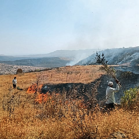 पुरंदरच्या डोंगररांगा वणव्यात होरपळल्या