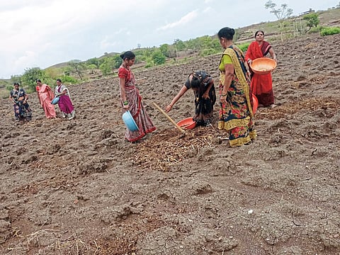 पांगरखेल (ता. खटाव) : ‘सुयोग महिला शेतकरी गट’