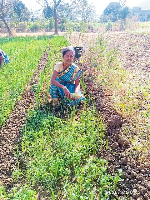 तारळे महिला दिन यशोगाथा