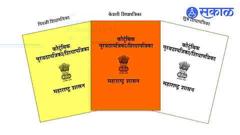 'सर्व्हर डाउन', 'धान्य संपले' अशी कारणं विसरा! खिशात राहणार तुमचं 'रेशन कार्ड'! 'इथे' सुरू झालीये खास सुविधा; घरबसल्या करता येणार तक्रार