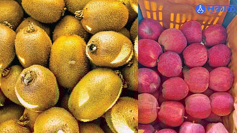 Conflict Disrupts Trade as Containers Pile Up at Iran’s Ports