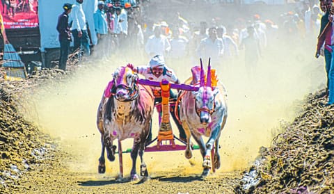 वेहरगाव येथे भव्य बैलगाडा छकडी स्पर्धेचा थरार