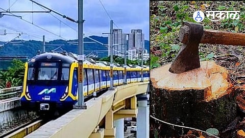 Metro project causes trees cutting