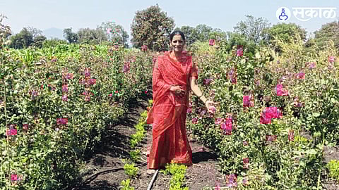 Daughter of a Farmer Turns Rose Farming into Profitable Venture