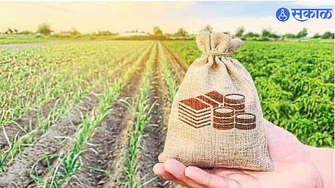 Farmers Await Relief as Crop Loan Disbursement Lags in Buldhana