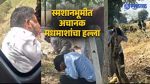 Muktaainagar Incident Ten People Injured In Bee Attack