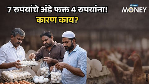 Egg Prices Crash to 3-Year Low: Consumers Happy but Poultry Farmers in Loss – What’s the Reason?