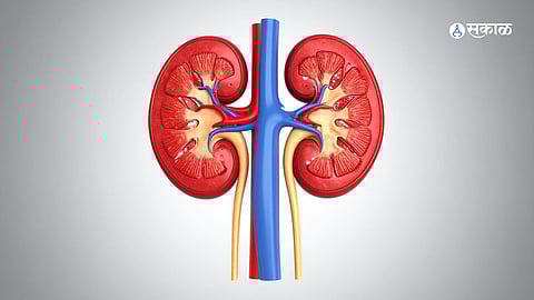 Kidney Health