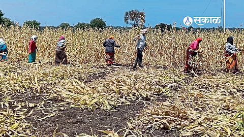 Beed PMAY Housing Grant Scam