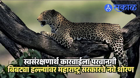 Leopard schedule 1 to schedule 2 proposal