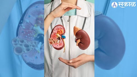 Rising Kidney Disorders Linked to Lifestyle Changes and Chronic Diseases