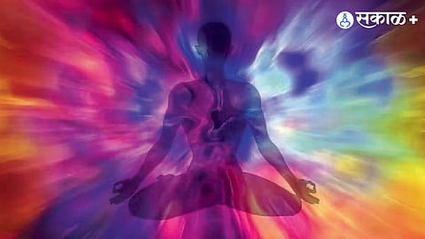 Stolen Focus Johann Hari