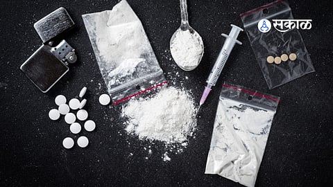 Police display seized drug