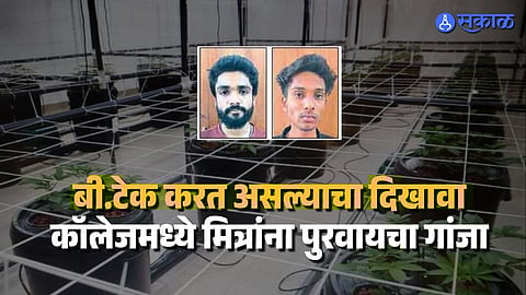 कोल्हापुरात पहिल्यांदाच 'हायड्रोपोनिक गांजा' जप्त, २१ वर्षीय तरुणासह दोघांना अटक, वडील सरकारी नोकरीत