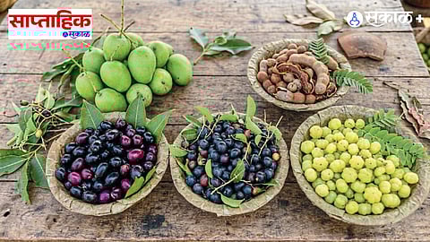 Seasonal changes in nature