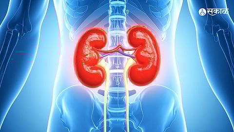 Summer Kidney Care
