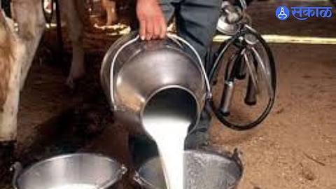 Commercial Gas Shortage Leads to Fall in Milk Demand and Prices