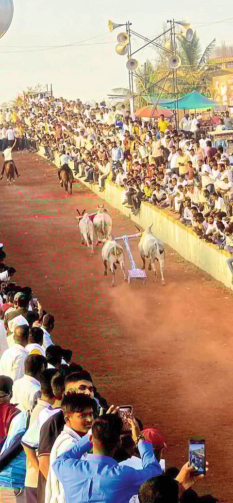 लोहगावात सांस्कृतिक कार्यक्रमांची रेलचेल