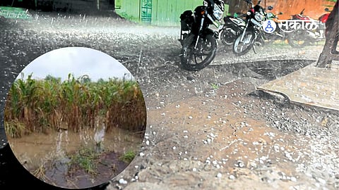 evere storm damages crops