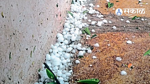 Dharashiv Hailstorm News