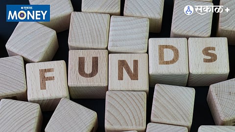 DSP Large and Mid Cap Fund