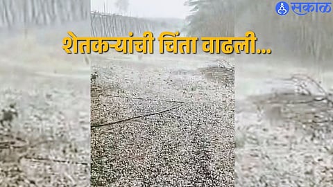 Hail Blanket Covers Fields in Phaltan & Maan, Heavy Losses Reported
