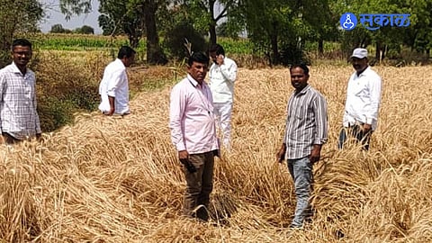 ‘Sakal Impact’ Triggers Immediate Administrative Action