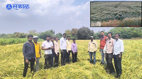 Unseasonal Rain Devastates Crops in Karmad