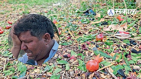 Jalna Crop Damage