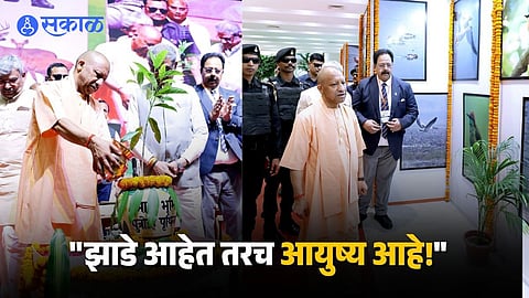 Environmental Imbalance and Human Actions