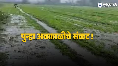 Dark clouds and lightning over Maharashtra signal incoming unseasonal rain and thunderstorms as per IMD forecast.