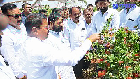 Minister Bharat Gogawale inspects fruit orchards in Madha, interacting with farmers and reviewing crop conditions.
