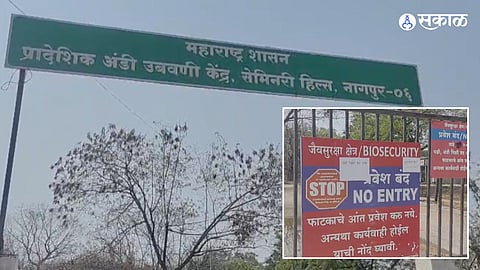 Bird Flu Outbreak in Nagpur